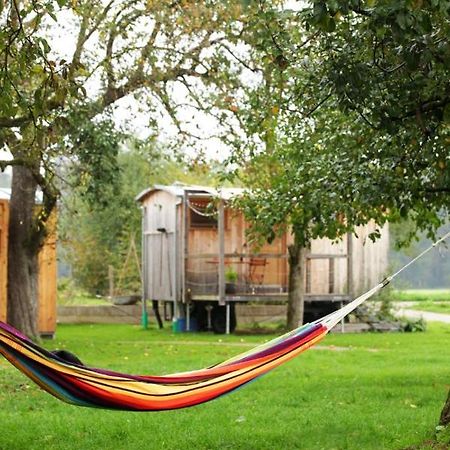 Tinyhaus Auf Dem Schacherbauerhof Mehring  Exterior foto